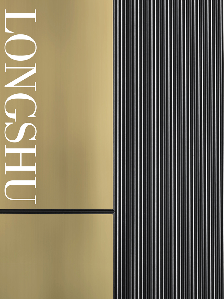 今年会精雕铸铝门，今年会整屋门窗，今年会入户门